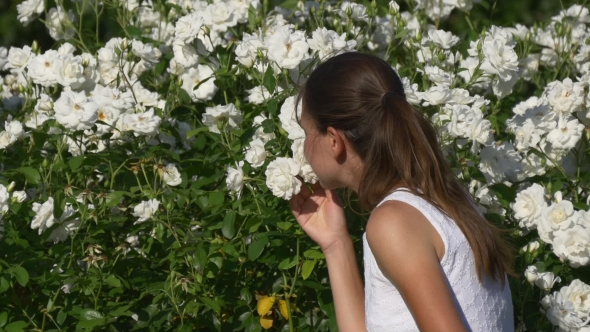 Woman Gently Touches And Smells White Roses