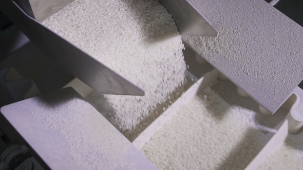 Rice Crumbles Into Equal Shares In a Modern Automatic Machine. alt