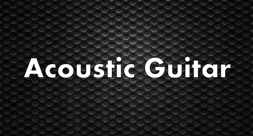 Acoustic Guitar