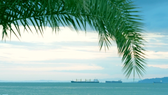 Beautiful Scenery: The Tanker Away With The Ship In The Ocean. In The Foreground a Palm Tree