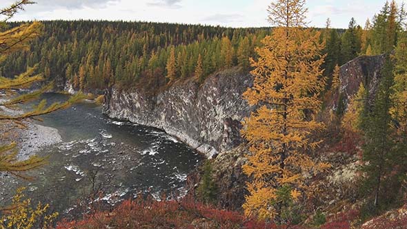 Mountain River in Forest