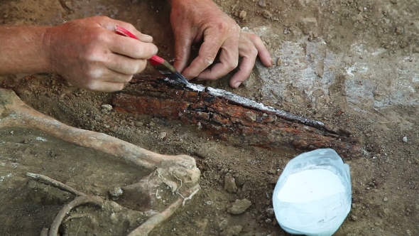 Archaeological Excavations In The Zaporozhye Region, Ukraine