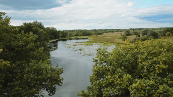 Flight Between The Green Trees Above The River alt