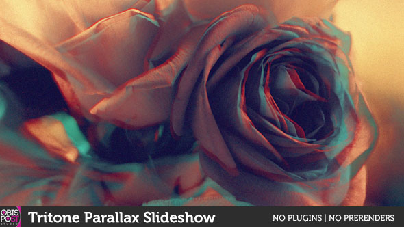 Tritone Parallax Slideshow - VideoHive 17950241