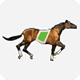 HorseRace module for PaidVids