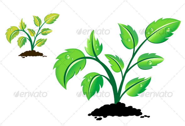 Green plant with drops - Organic Objects Objects