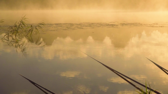 Rods Fisherman Lying In The Water. In Waiting For a Bite