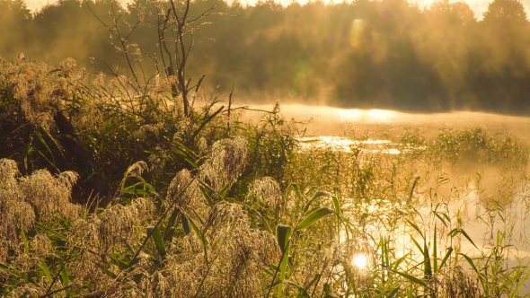 A Beautiful Sunrise On The Lake.