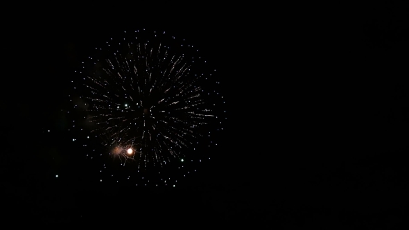 Beautiful Fireworks In The Park On a Summer Evening.