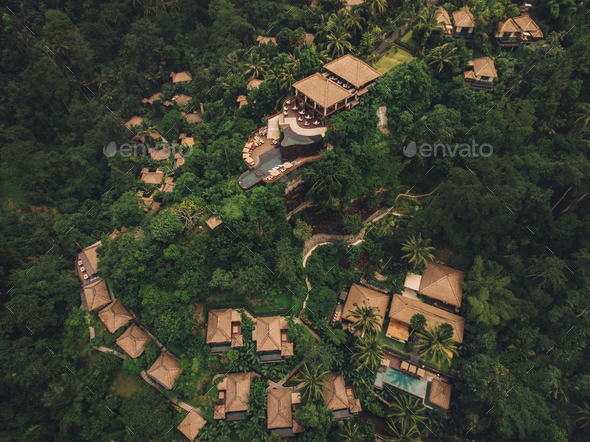 Luxury resort in forest surrounded by trees
