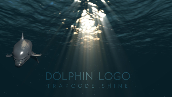 Dolphin Logo - VideoHive 17991315