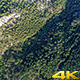Green Forest Green Forest - VideoHive Item for Sale
