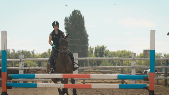 Young Woman Jumps Horse Over An Obstacle During Her Training In An Arena alt