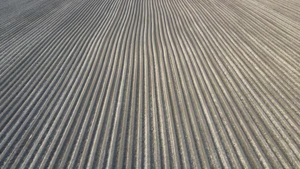 Aerial View Field is Plowed in Spring alt
