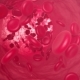 Red Blood Cells Move Along The Vein - VideoHive Item for Sale