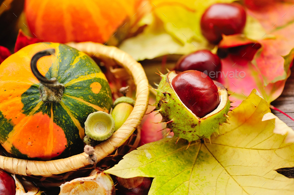 Fresh chestnuts on background autumn leaves - Stock Photo - Images