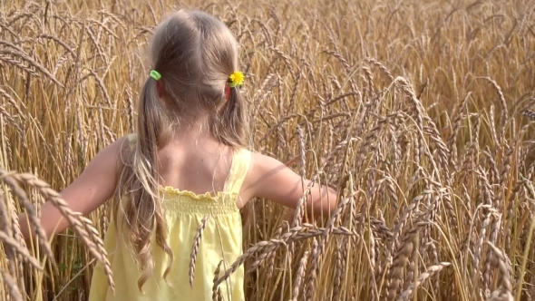 Cute Girl In Wheat Field