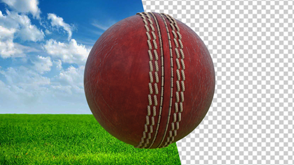 Spinning Cricket Ball