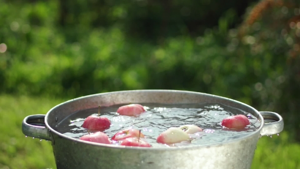 In The Empty Basin of Water Throwing Apples.