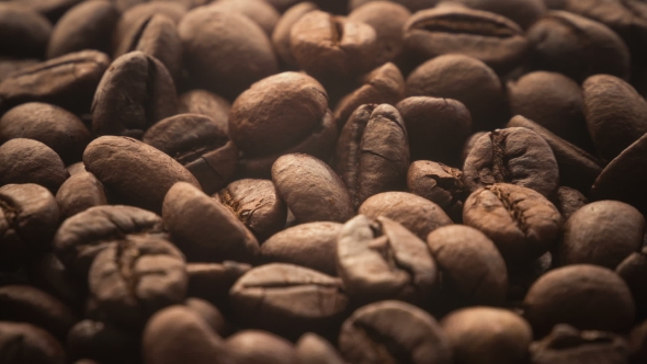 Roasting Coffee Beans