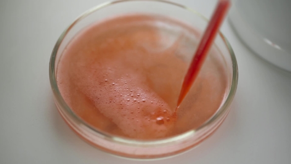 A Pipette Drips Blood Into a Petri Dish
