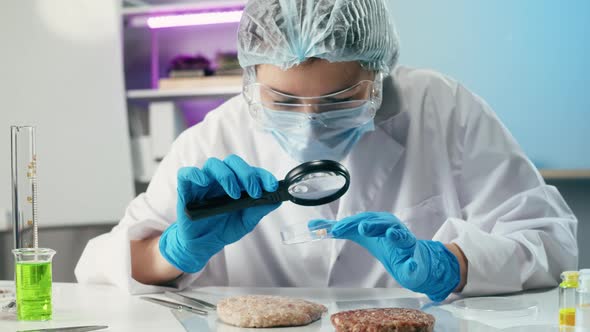 Medical Scientist Inspecting Minced Vegan Meat Wearing Protective Unform Working in Laboratory alt