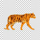 Tiger Walk Cycle - VideoHive Item for Sale