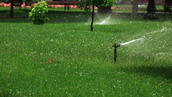 Sprinkler Irrigation In Park