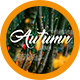 Autumn Opener 1 - VideoHive Item for Sale