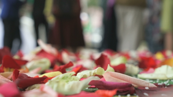 Wedding Tradition. Rose Petals Scattered On Carpet