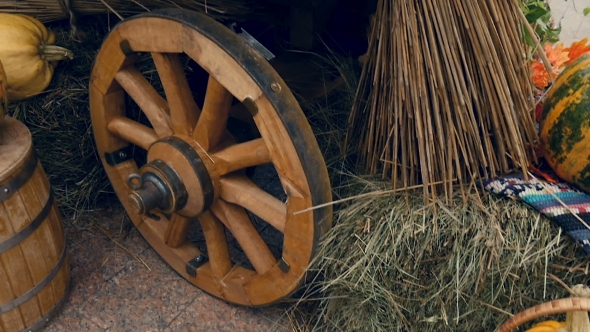 The Trolley Stands At The Exhibition, With Pumpkins And Other Vegetables