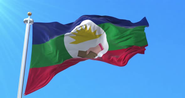 Tucupita Municipality Flag, Delta Amacuro, Venezuela alt