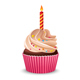 Birthday Cupcake with Burning Candle, Vectors | GraphicRiver