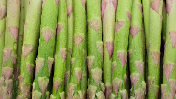 fresh green asparagus close up, top view. Sliding shot. alt