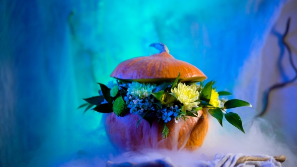 Halloween, Filled With Holiday Traditions, Symbols And Details alt