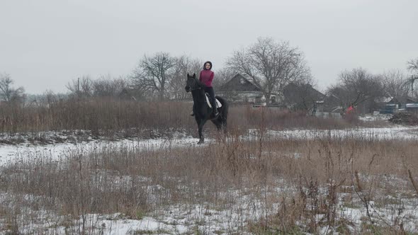 Young Brunette Woman Rides a Beautiful Black Horse on a Field or Snowcovered Farm in Winter alt