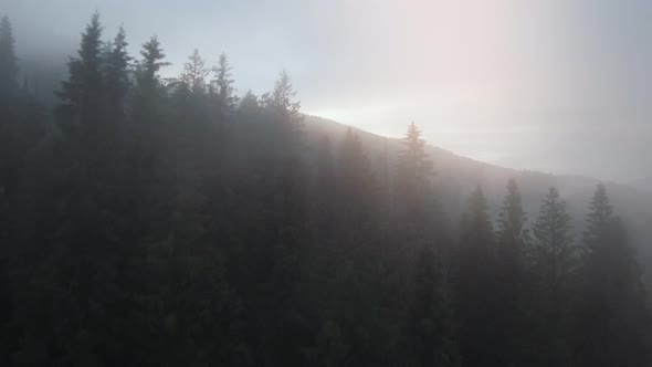 Mystical Mountain Landscape alt