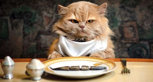 Positive, Happy, Joy