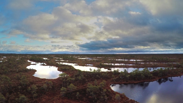 Kemeri Swamp Landscape In Latvia