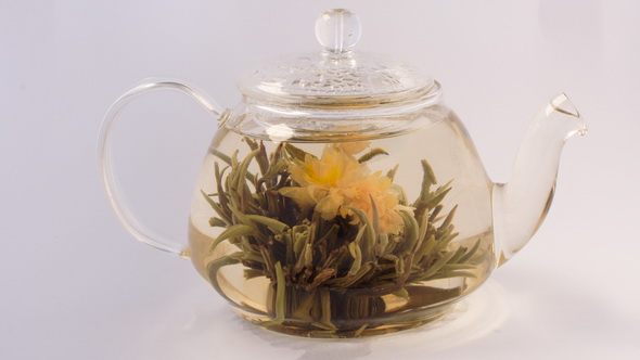 Brew Tea, Tea Flower Blooms,Time Laps