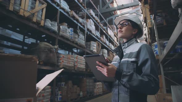 Woman in a Warehouse with a Tablet, Rack with Boxes on the Background