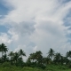 View Of The Beach And Palm Trees Swaying In The Wind. Cloudy Sky Cuba. - VideoHive Item for Sale