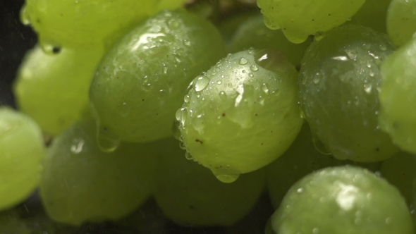 Bunch Of Green Grapes On a Black Background With Water Drops
