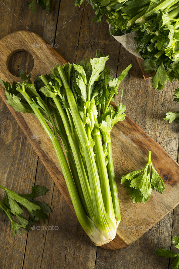Raw Organic Green Celery Stalks Stock Photo by bhofack2 PhotoDune