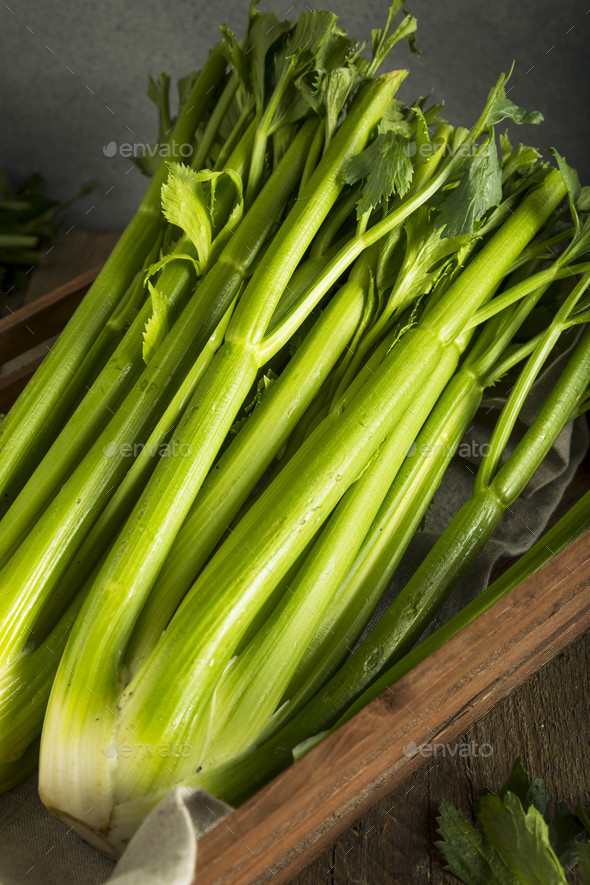 Raw Organic Green Celery Stalks Stock Photo by bhofack2 PhotoDune