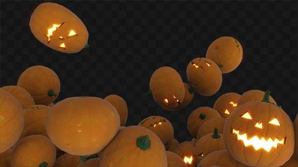 Pumpkins Transition 2