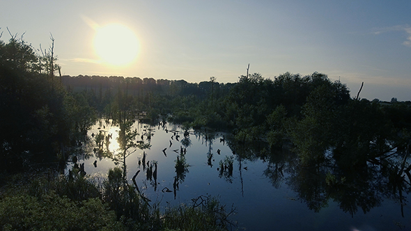 Aerial Old Swamp Part 4