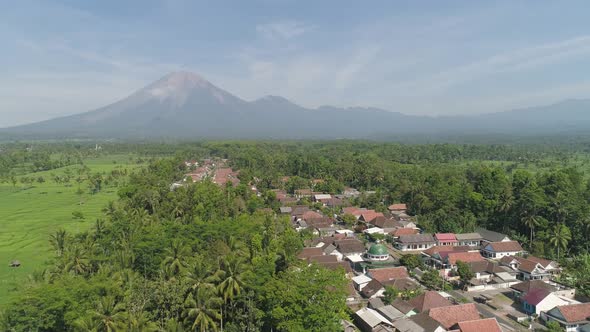 Rice Terraces and Agricultural Land in Indonesia alt