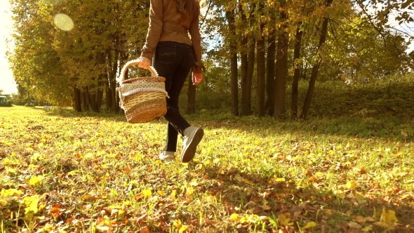 Brunette Woman Walking Through Autumn Forest Holding a Picnic Basket. Warm Sunny Day. alt