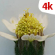 Flower In Nature 804 - VideoHive Item for Sale